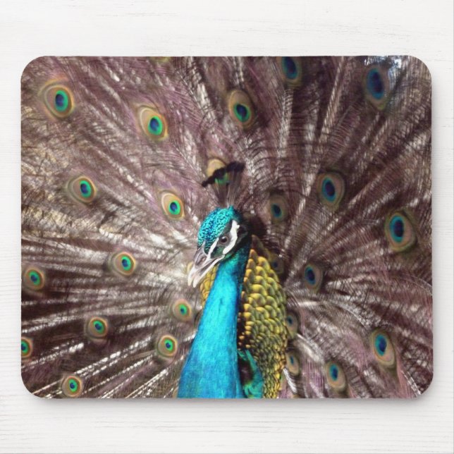 peacock feathers mouse pad (Front)