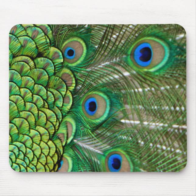 Peacock Feathers Mouse Pad (Front)