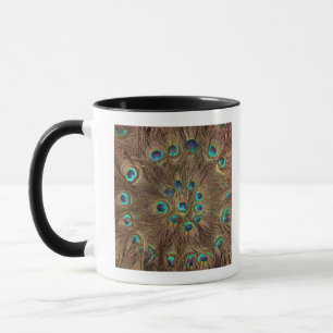 Peacock feathers mug