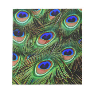Peacock Feathers Notepad
