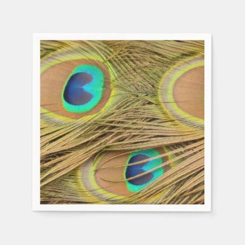 Peacock Feathers Paper Napkins by bonfireanimals at Zazzle