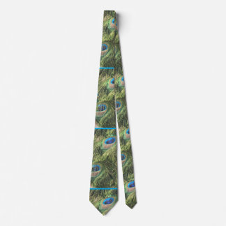Peacock Feathers Pattern Necktie