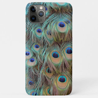 Peacock Feathers -  Phone Case