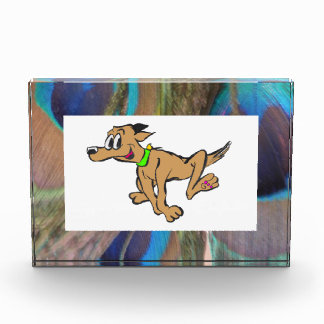 Peacock Feathers Photo Block