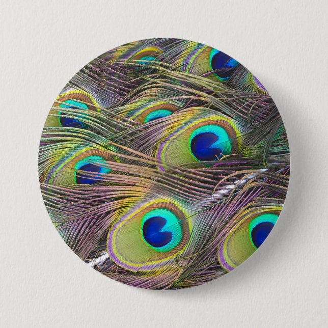 Peacock Feathers Pinback Button (Front)