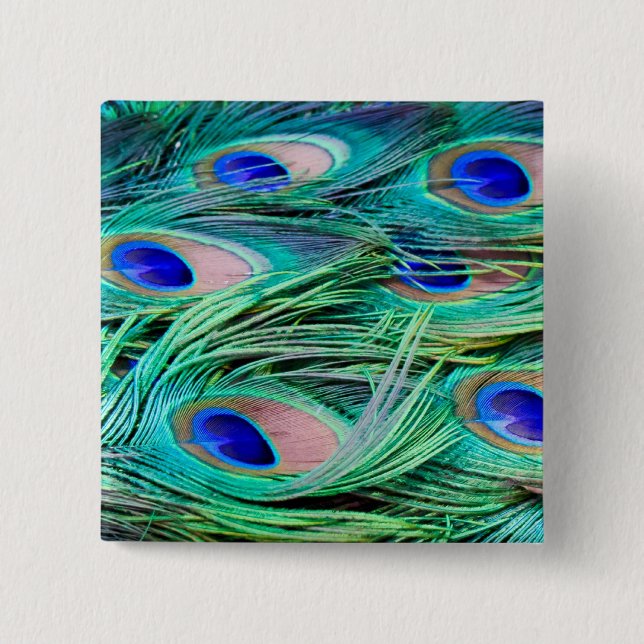 Peacock Feathers Pinback Button (Front)
