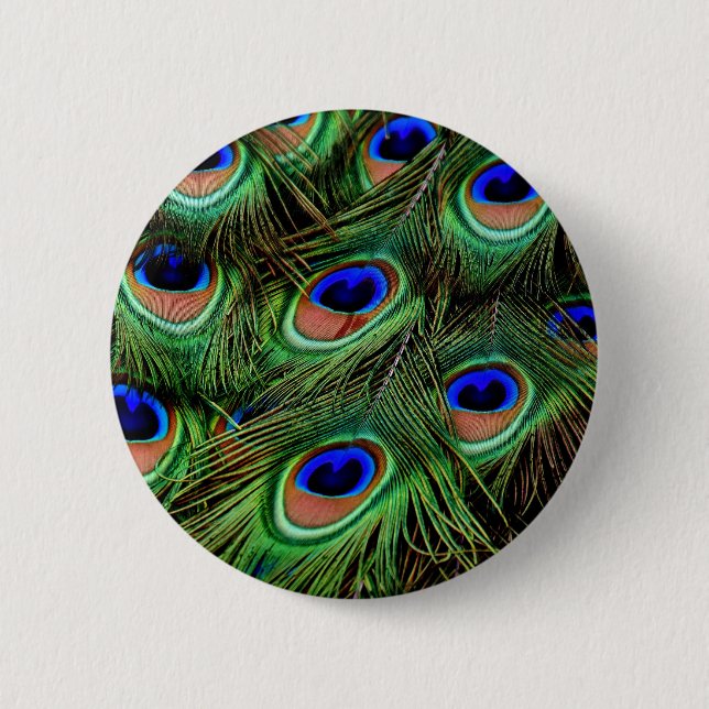 Peacock Feathers Pinback Button (Front)