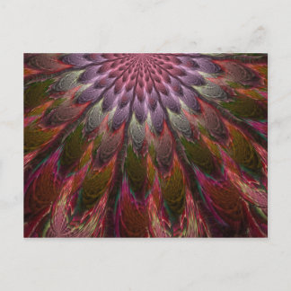 Peacock Feathers Postcard