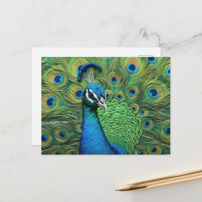 Peacock Feathers Postcard (Front/Back In Situ)