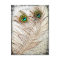 Peacock Feathers Postcard