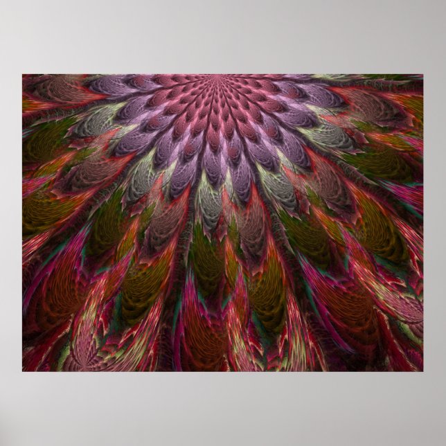 Peacock Feathers Poster (Front)