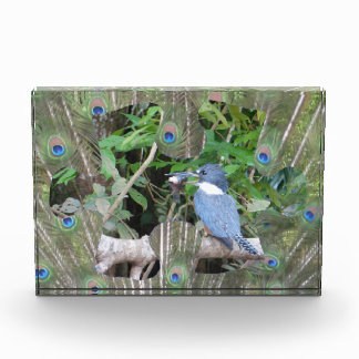 Peacock Feathers Puzzle Piece Photo Block