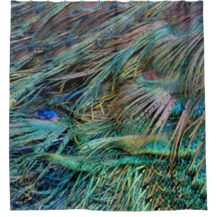 Peacock Feathers Rainbow Colors Shower Curtain