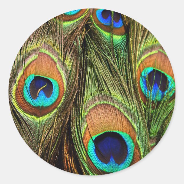 Peacock Feathers Round Stickers (Front)