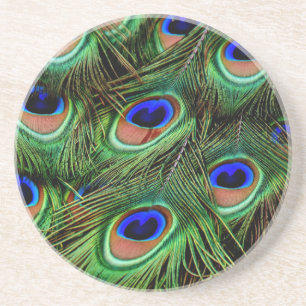 Peacock Feathers Sandstone Coaster