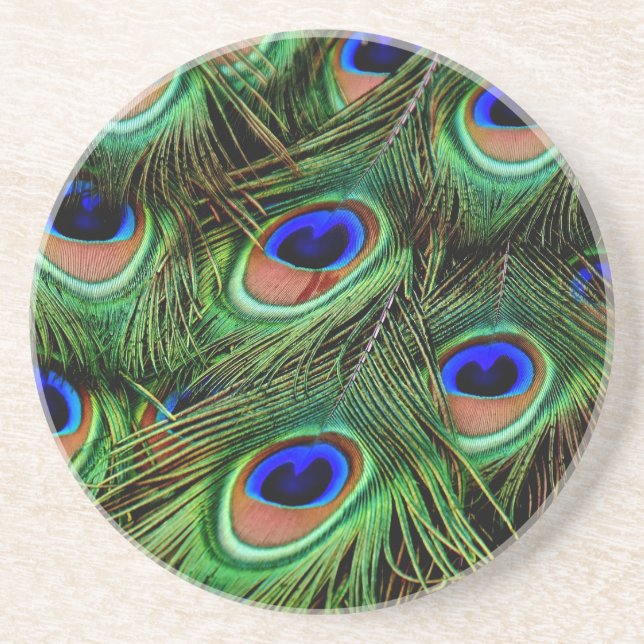 Peacock Feathers Sandstone Coaster (Front)