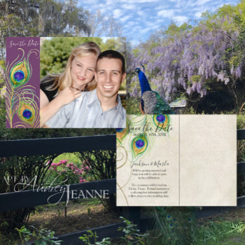 Peacock Feathers Save The Date Invite Cards by AudreyJeanne at Zazzle