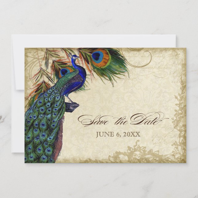 Peacock & Feathers Save the Date Tea Stained (Front)