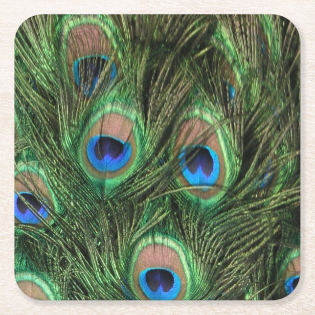 Peacock Feathers Square Paper Coaster (Front)