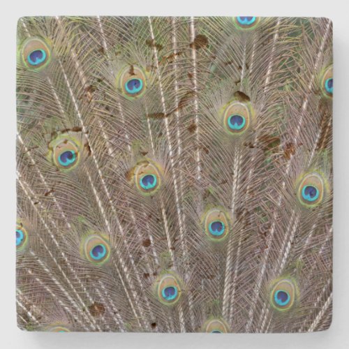 Peacock Feathers Stone Coaster