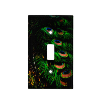 Peacock Feathers Switch Plate Cover