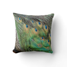 Peacock Feathers Tan Green And blue Colors