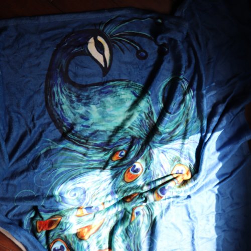 Peacock Feathers Teal Peacocks                     Fleece Blanket