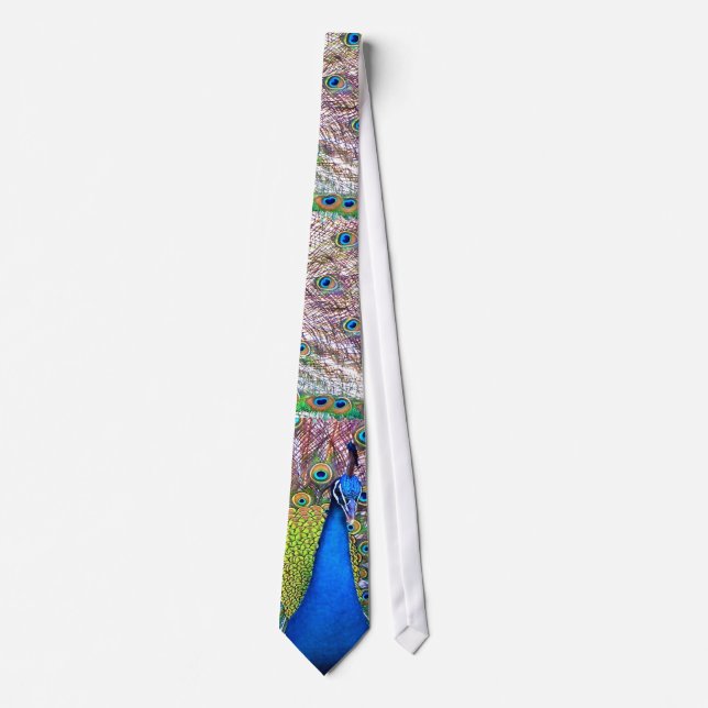 Peacock Feathers Tie (Front)