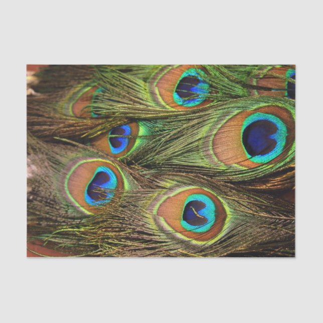 Peacock Feathers Tissue Paper (Front)