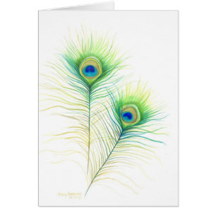 Peacock Feathers Watercolor Illustration Cards