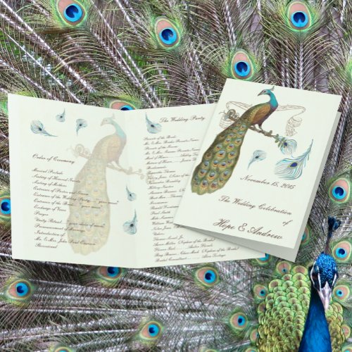 Peacock Feathers Wedding Program