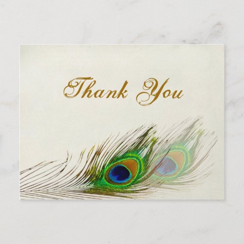 Peacock feathers Wedding Thank you Postcard