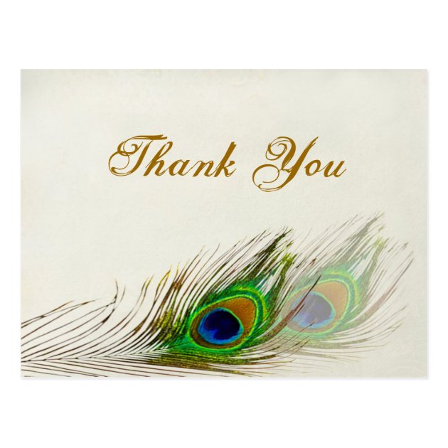 Peacock Feathers Wedding Thank You Postcard
