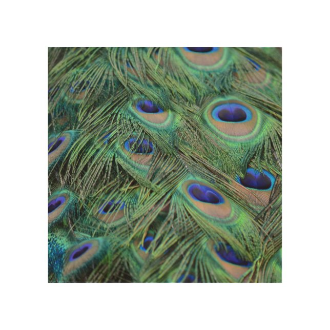 Peacock Feathers Wood Wall Decor (Front)