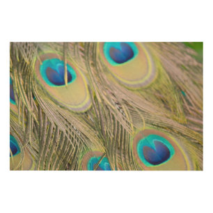 Peacock Feathers Wood Wall Decor