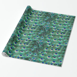 Peacock Feathers Wrapping Paper