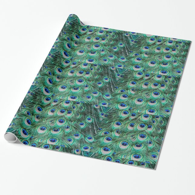 Peacock Feathers Wrapping Paper (Unrolled)