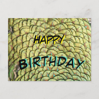Peacock Feathers Yellow Pattern Birthday Postcard