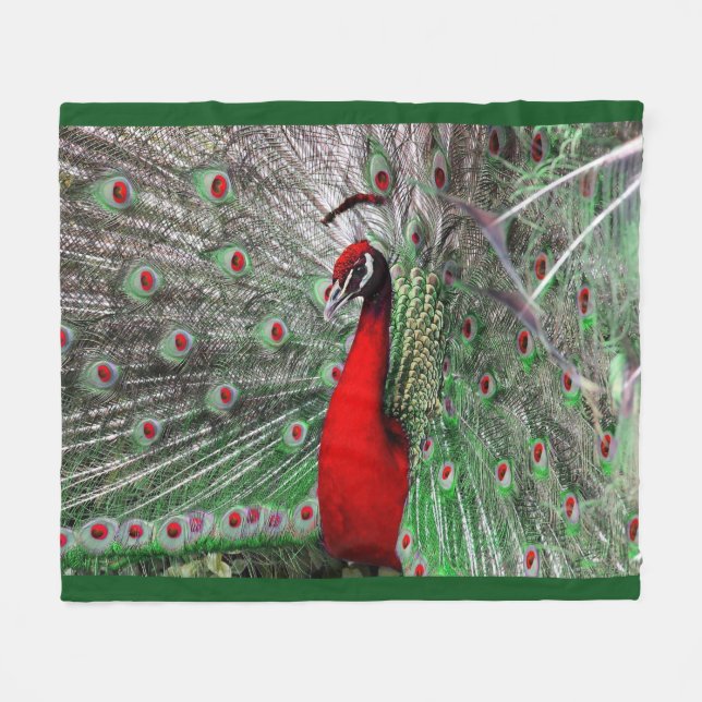 Peacock Fleece Blanket (Front (Horizontal))