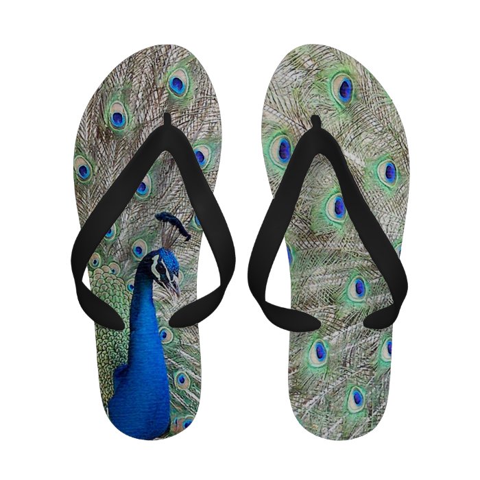 Peacock Flip Flops