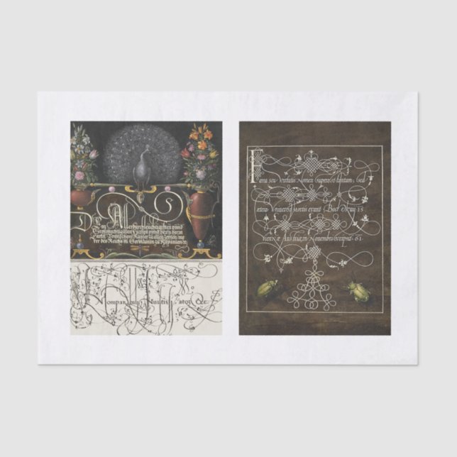 Peacock floral insect garden decoupage tissue paper (Front)