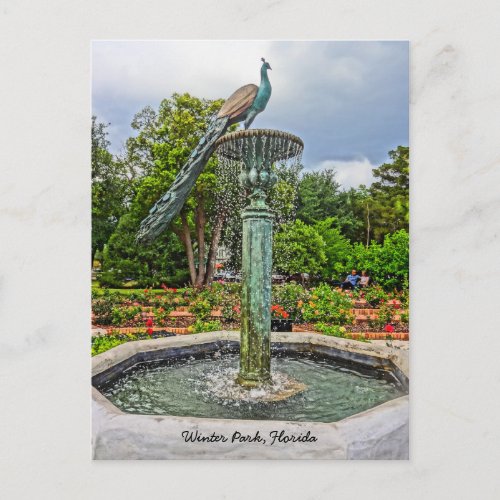 Peacock Fountain  Rose Garden in Winter Park FL Postcard