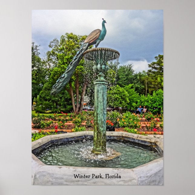 Peacock Fountain & Rose Garden in Winter Park FL Poster (Front)