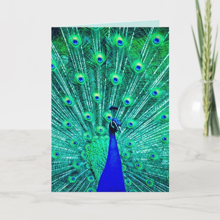 PEACOCK FUNNY BIRTHDAY CARD | Zazzle