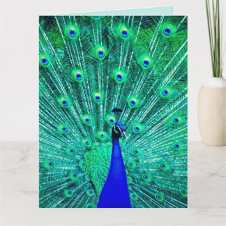 PEACOCK FUNNY BIRTHDAY GREETING CARD