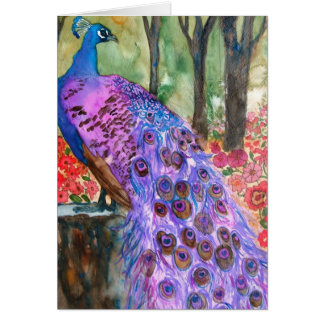Peacock Garden Cards