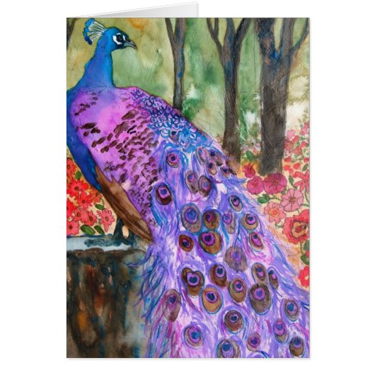 Peacock Garden Cards (Front)