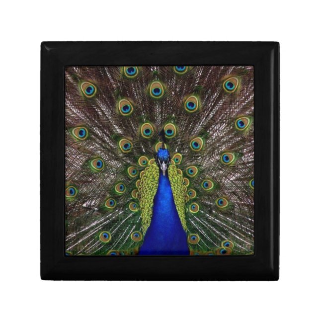 Peacock Gift Box (Front)