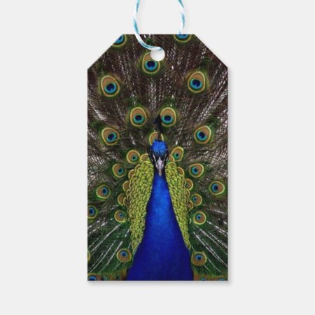 Peacock Gift Tags