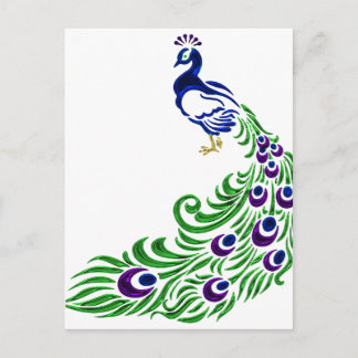 Peacock Gifts Postcard